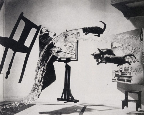 Philippe Halsman Dali and cats