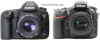 Canon 5D mark III против Nikon D800 сравнительный обзор