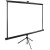 аренда экрана для проектора CACTUS TriExpert 200x200